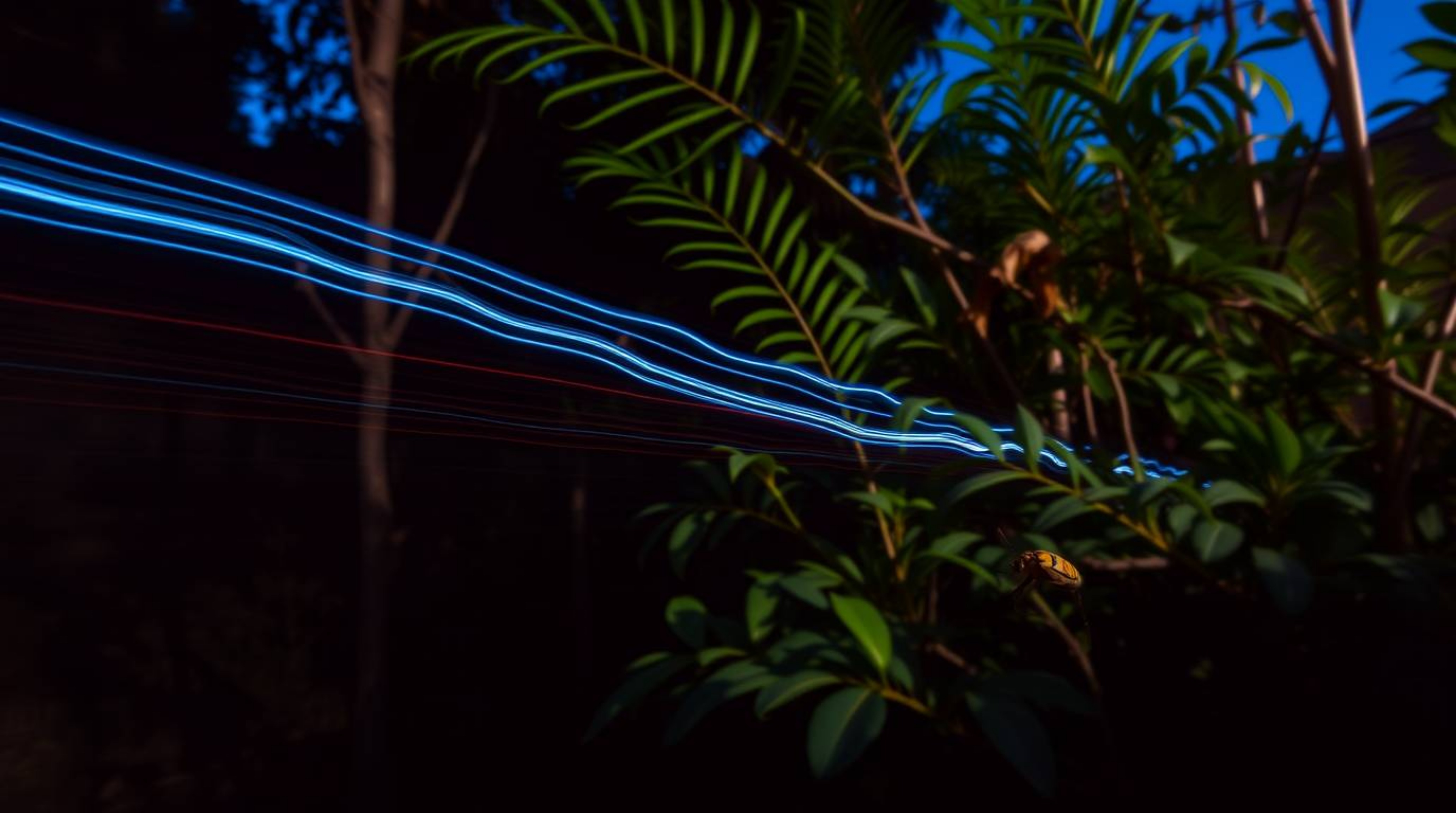 Explore the captivating world of long exposure photography with rich burgundy and deep blue hues, capturing mesmerizing motio