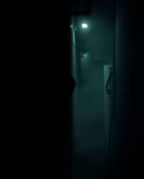 A captivating image depicting eyes watching from a shadowy alley at night, rendered with a soft cinematic haze and focus. The