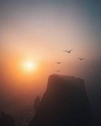 This is a soft cinematic image with an ethereal and spiritual vibe, depicting a sunset over a coastal cliff with soaring bird