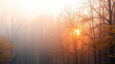 Immerse yourself in a soft and dreamy atmosphere with this artwork depicting an autumn forest. The gentle hues of soft pastel