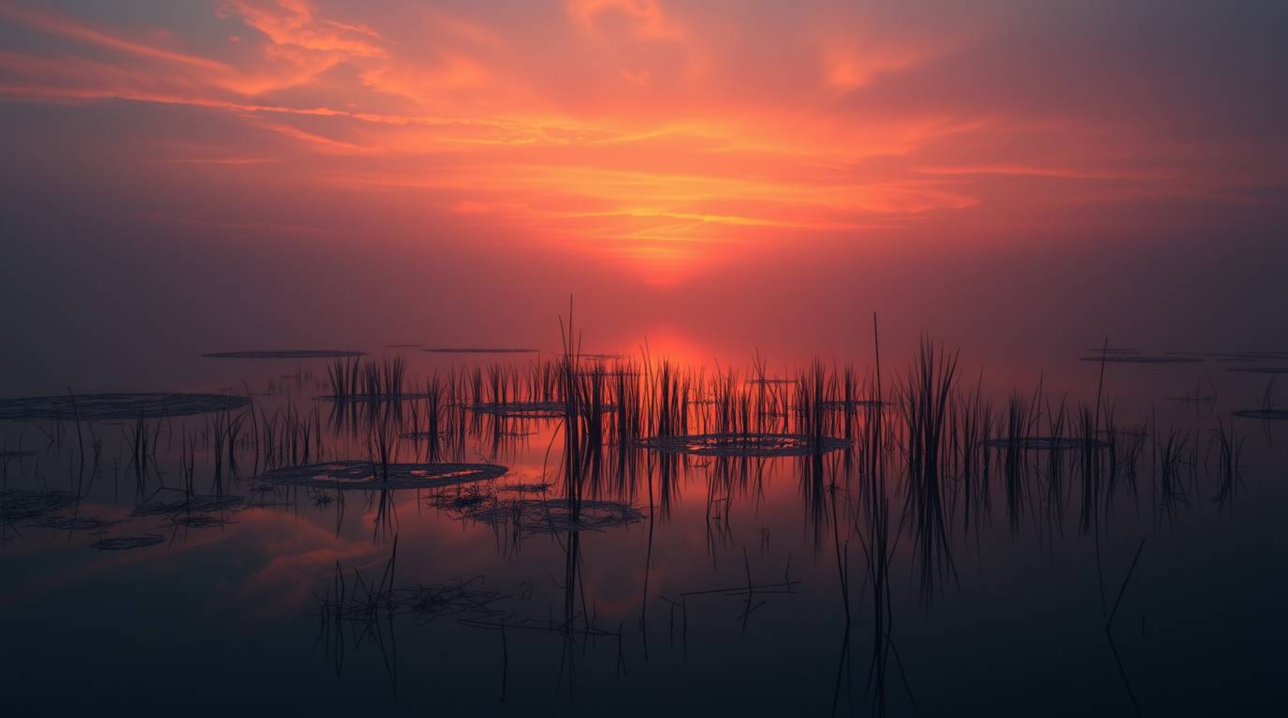 A captivating image depicting a moody, dreamlike reflection of a vibrant sunset in a tranquil pond. Rendered in a mystic styl