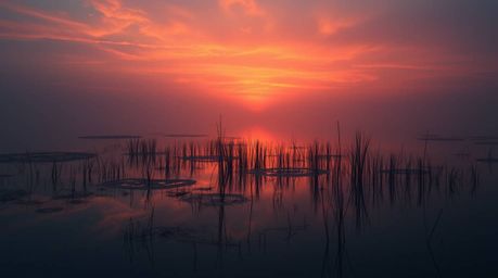 A captivating image depicting a moody, dreamlike reflection of a vibrant sunset in a tranquil pond. Rendered in a mystic styl