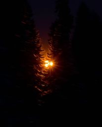 A high-contrast, low-key long-exposure photograph of sunset light sparkling on snowy pine trees. Motion blur, light trails, d