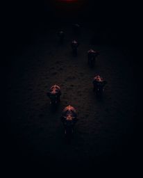 This is a high-contrast, low-key overhead bird’s eye view image of elephants walking across a field at sunset, captured in a 