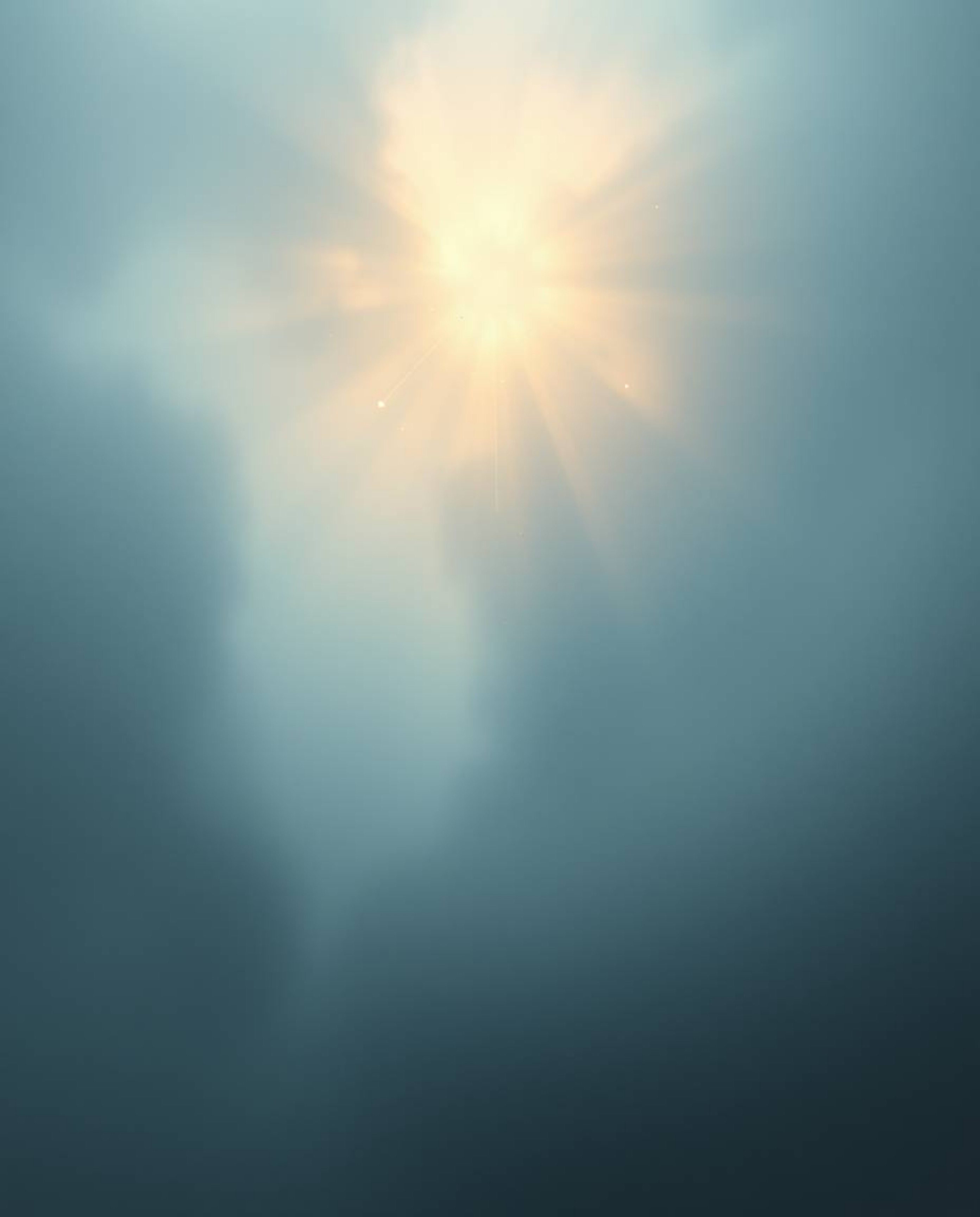 Immerse yourself in a world of thick, foggy surroundings and an ethereal, spiritual vibe. Witness a surreal storm with flying