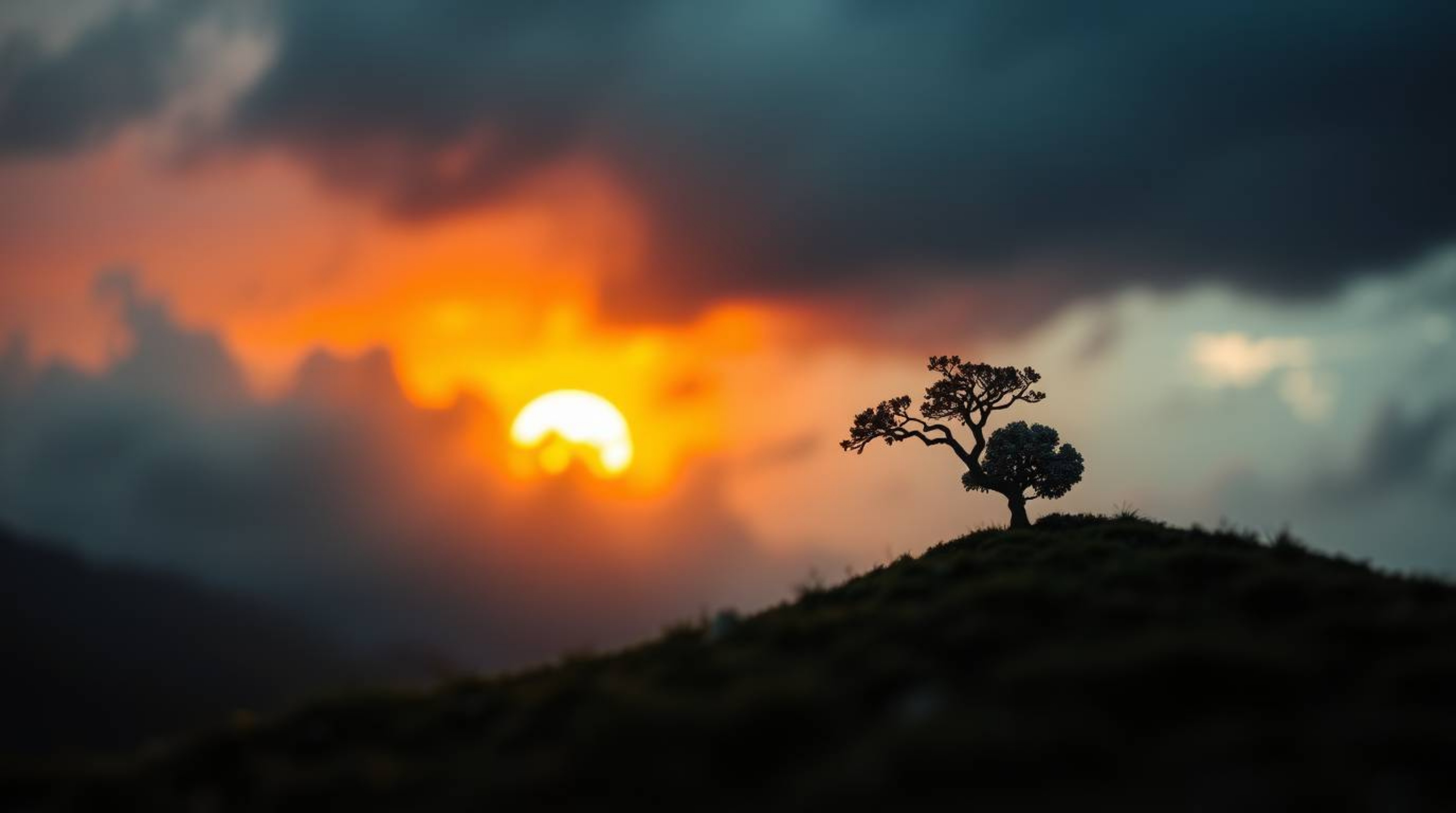 A captivating image showcasing a lone tree silhouetted against a fiery sunset, featuring a blurred bokeh effect and intense d