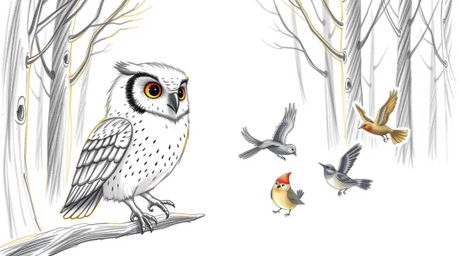 A heartwarming hand-drawn sketch in the style of Pixar depicts a serene blind owl patiently teaching a diverse group of birds