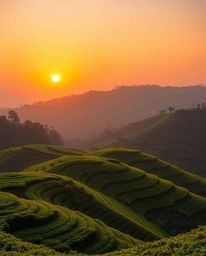 This image displays a seamless, smooth gradient transition of sunset hues over terraced tea plantations. The scene is dramati