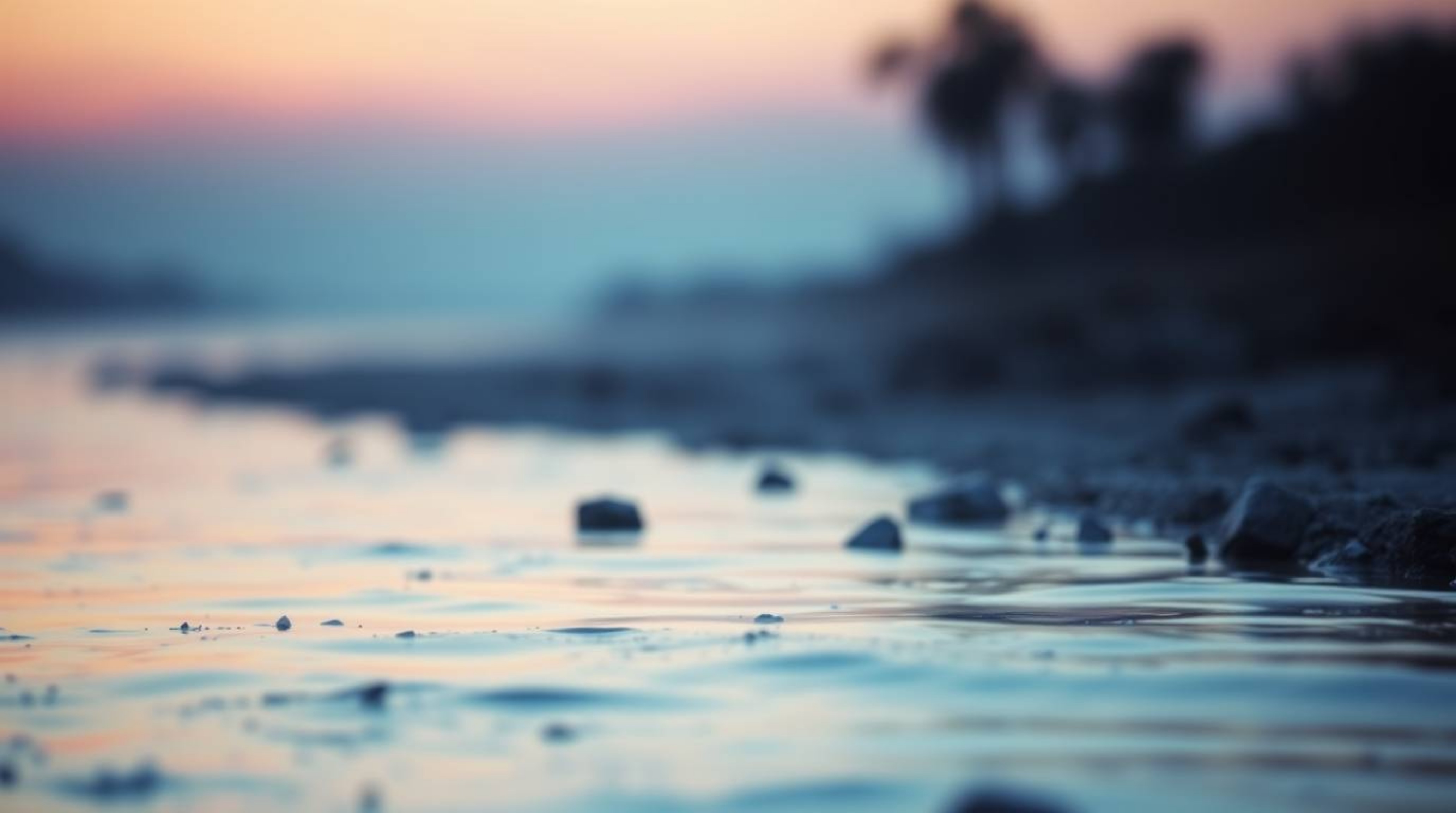A captivating close-up reveals a river delta bathed in the soft, glowing hues of twilight.  The cinematic haze and shallow de