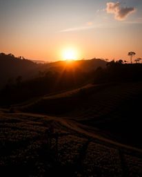 A cinematic-style photograph of a sunset over terraced tea plantations, utilizing strong hard light to create dramatic, harsh