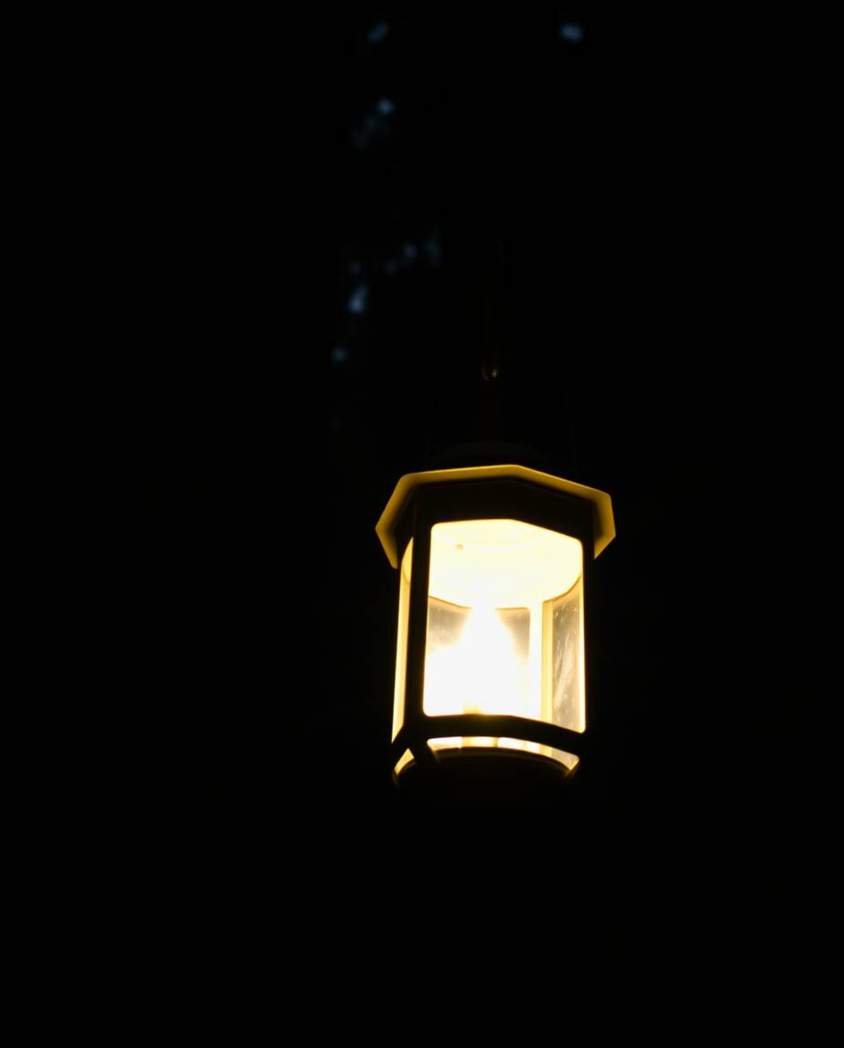 Experience the enchanting ambiance of a dark forest brought to life by a single, glowing lantern. This image captures a low-a