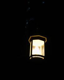 Experience the enchanting ambiance of a dark forest brought to life by a single, glowing lantern. This image captures a low-a