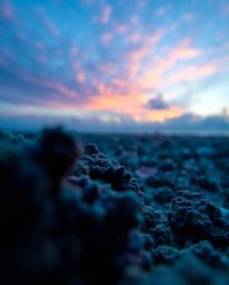A cool-colored extreme macro close-up focuses on a colorful sky over a coral reef at low tide. This detailed shot highlights 