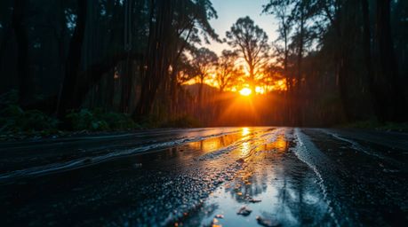 Immerse yourself in an ethereal and spiritual vibe with this stunning depiction of a wet, rainy scene at sunset. Iridescent c