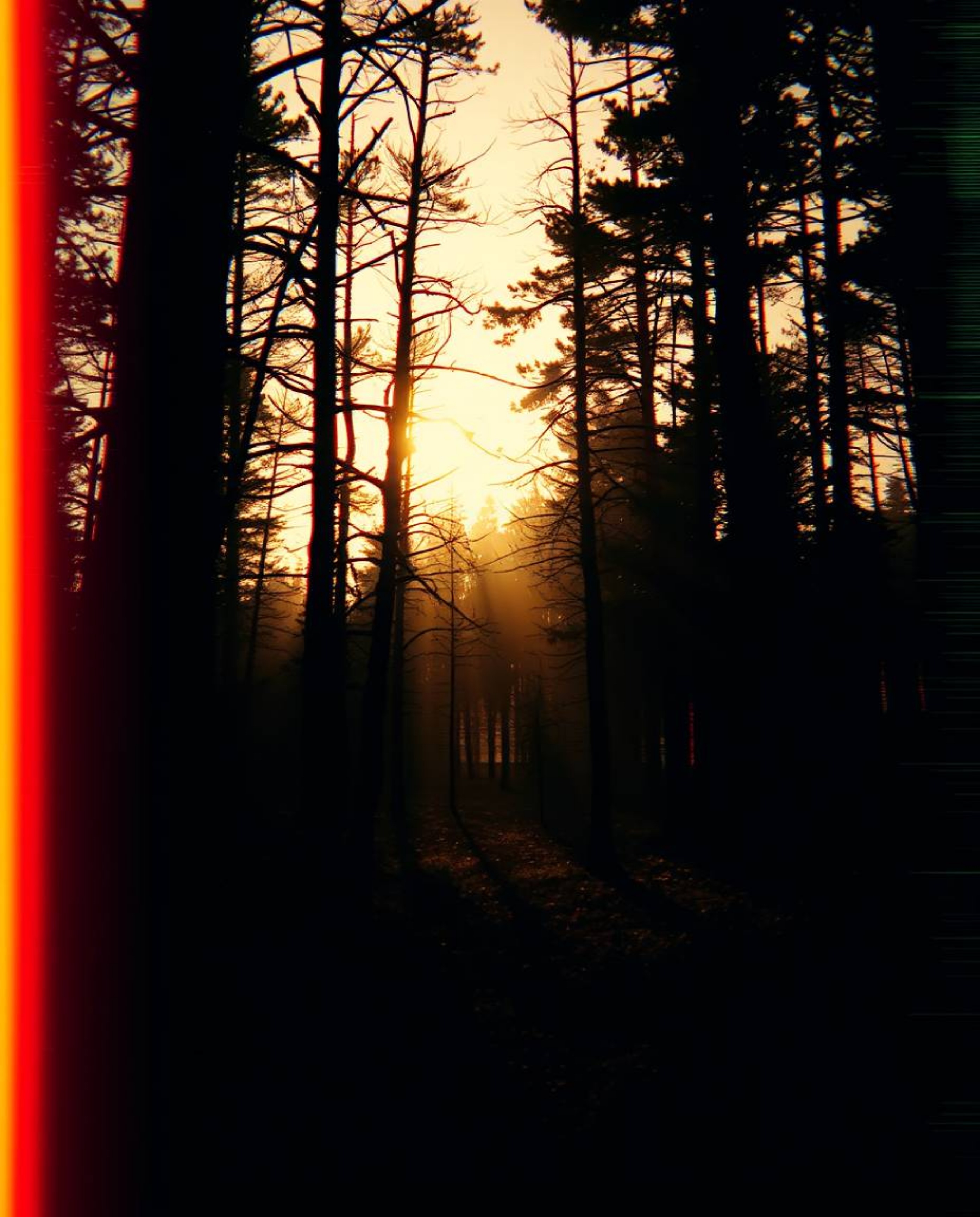 Experience the surreal beauty of a digital glitch effect overlaying a natural forest scene.  This captivating image showcases
