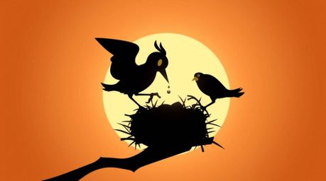 Delightful animation featuring two cartoon birds constructing a nest against a smooth gradient backdrop. The classic animati