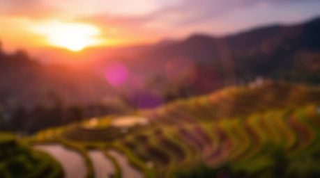 This artwork captures the breathtaking beauty of a sunset over rice terraces, rendered in a creative and artistic style. The 