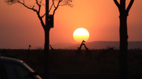 Capture the essence of a serene urban moment with this candid street photography shot of a breathtaking sunset over the savan