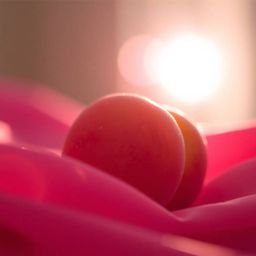 A high-resolution, close-up ASMR image featuring a soft, blushing pink peach resting on silky pastel pink fabric. Silhouetted