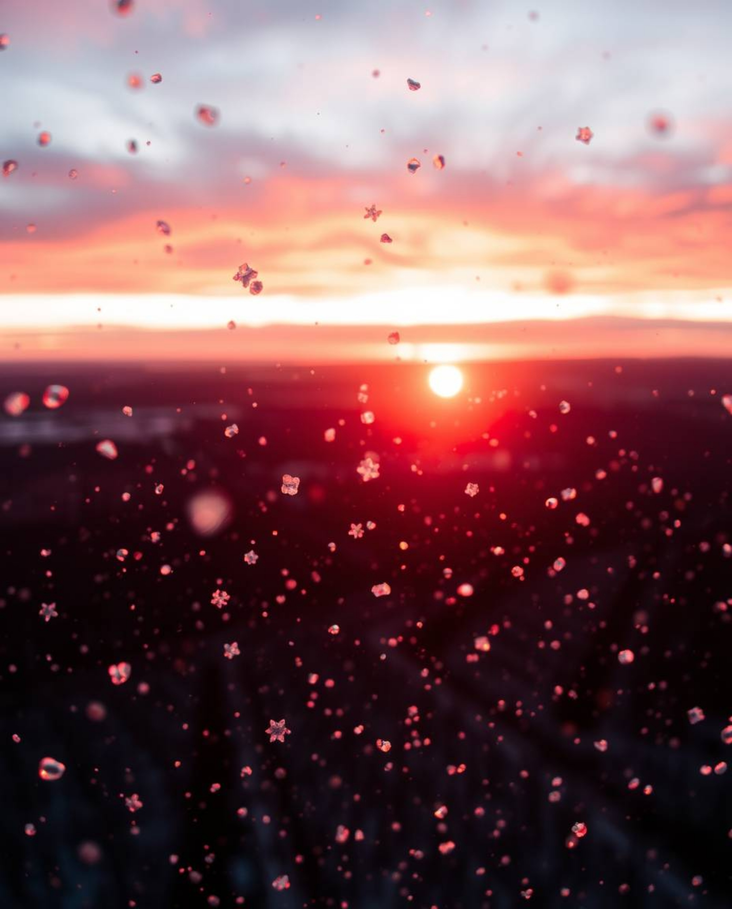 This image captures a warm overhead bird’s eye view of snowflakes falling during a vibrant sunset. The top-down perspective r
