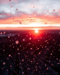 This image captures a warm overhead bird’s eye view of snowflakes falling during a vibrant sunset. The top-down perspective r