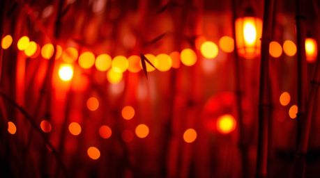 Capture the serene beauty of a bamboo forest bathed in the warm glow of a sunset. This photograph features soft bokeh, flicke