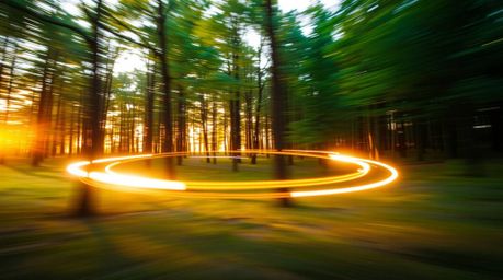 Experience the thrill of the chase within a looping forest, captured in a stunning long-exposure photograph. Bathed in the wa