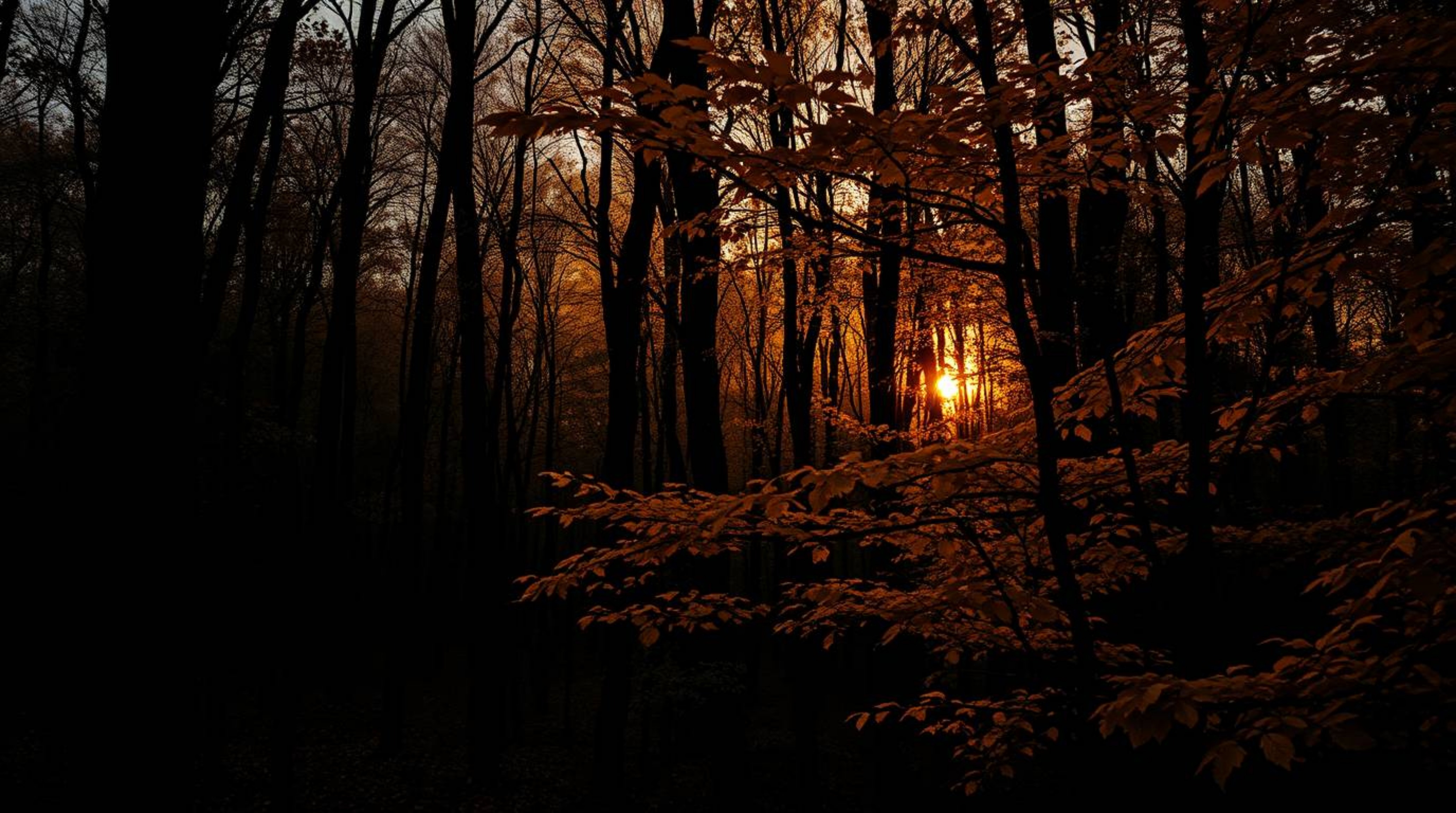 Explore a chilling and captivating autumn forest where intense jet black contrasts with golden leaves illuminated by a breath