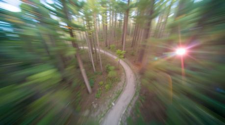 Immerse yourself in a visually stunning long exposure photograph capturing a high-speed chase through a dense, looping forest