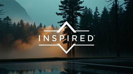 A captivating logo design inspired by a wet, rainy forest scene at golden hour.  The dramatic, cinematic style features mist 