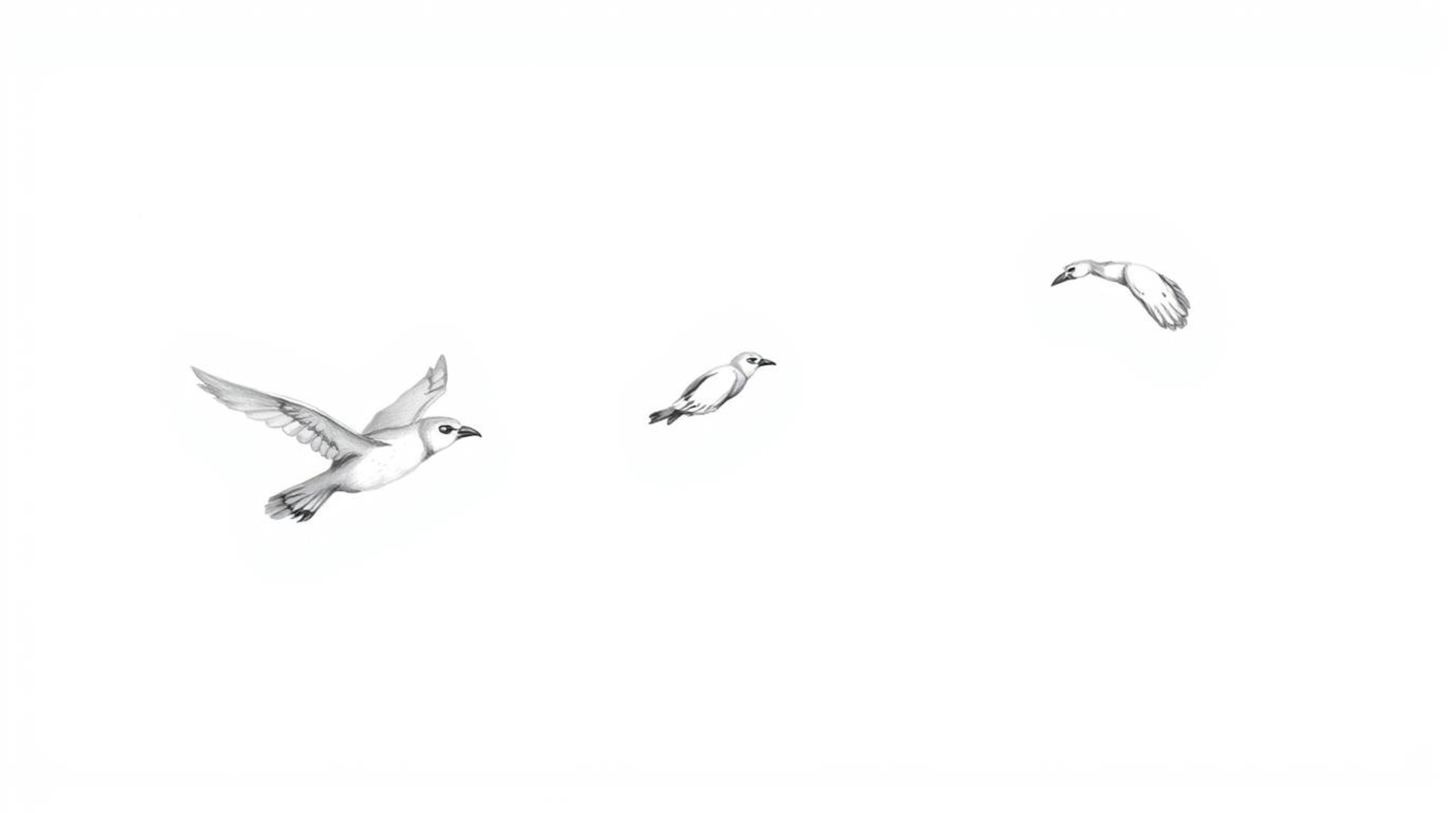 A heartwarming hand-drawn sketch in the style of Pixar portrays a wise, blind owl with gentle features and closed eyes, using