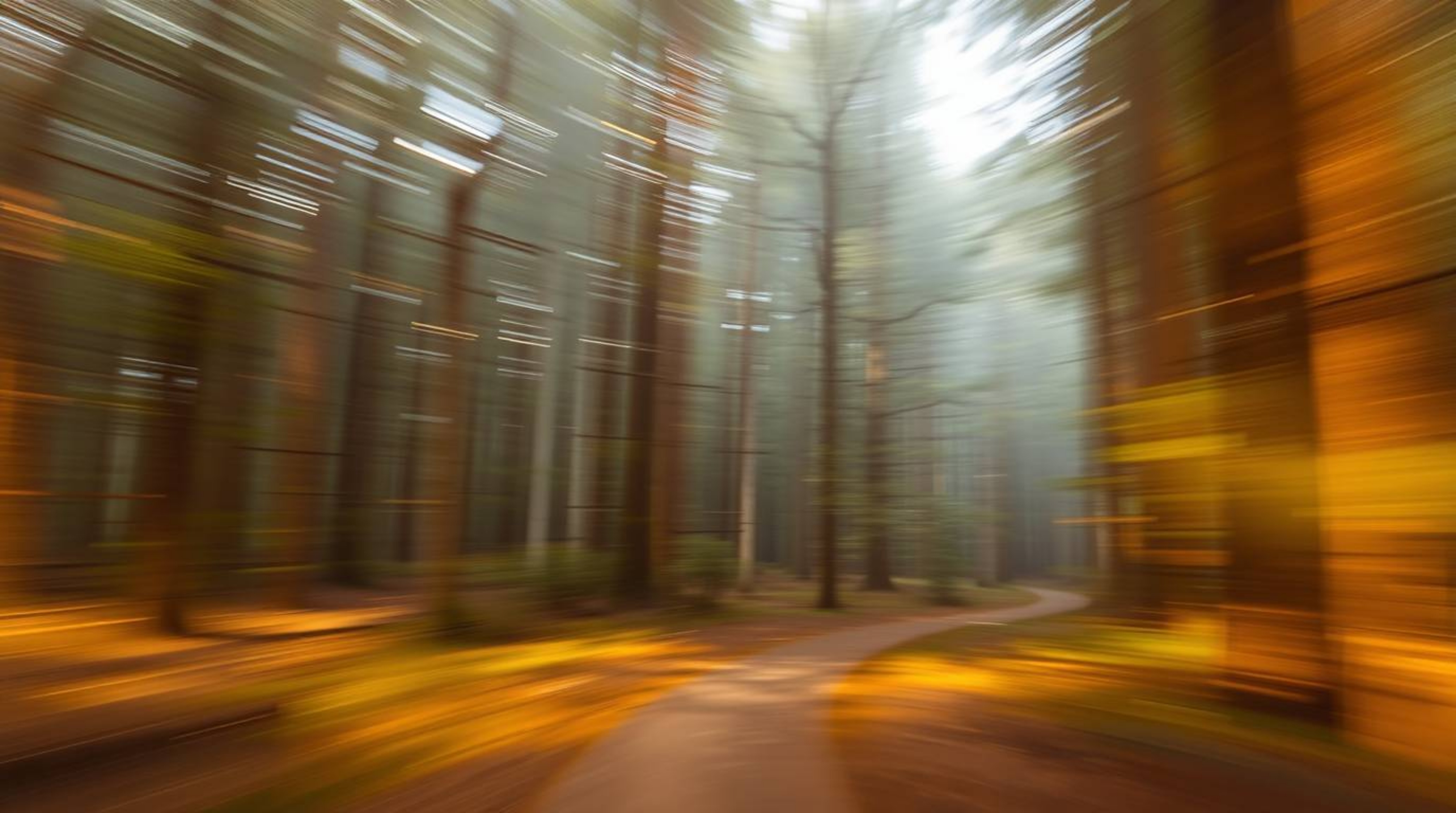 This photograph captures a dynamic chase through a looping forest background, employing long exposure techniques to create so