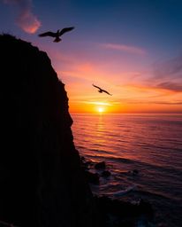 A breathtaking sunset over a coastal cliff, alive with the graceful flight of soaring birds. The scene is magically illuminat