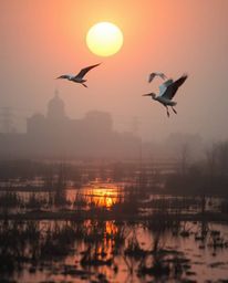 An ethereal spiritual vibe defines this golden hour wetlands scene with herons flying. A soft light aura contributes to a mys