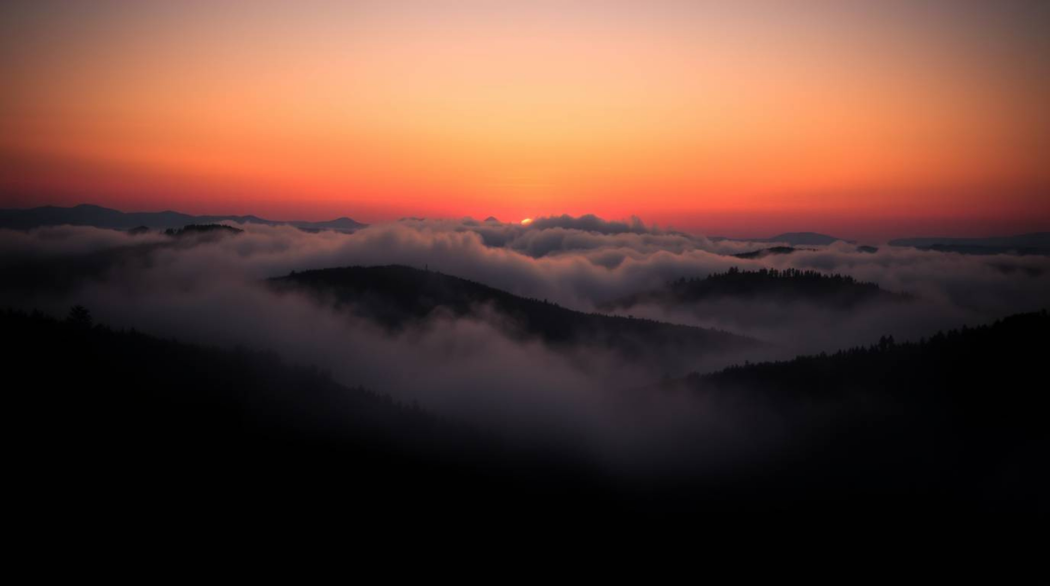 A captivating close-up showcases fog-covered hills bathed in the golden light of a dramatic sunset.  The image boasts high co