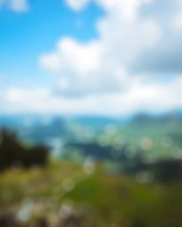 Explore a mesmerizing world where digital glitches meet the soft embrace of bokeh in this abstract photography series. Witnes