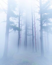 A digital glitch effect disrupts a serene natural forest scene, creating a surreal and captivating contrast. Rendered in soft