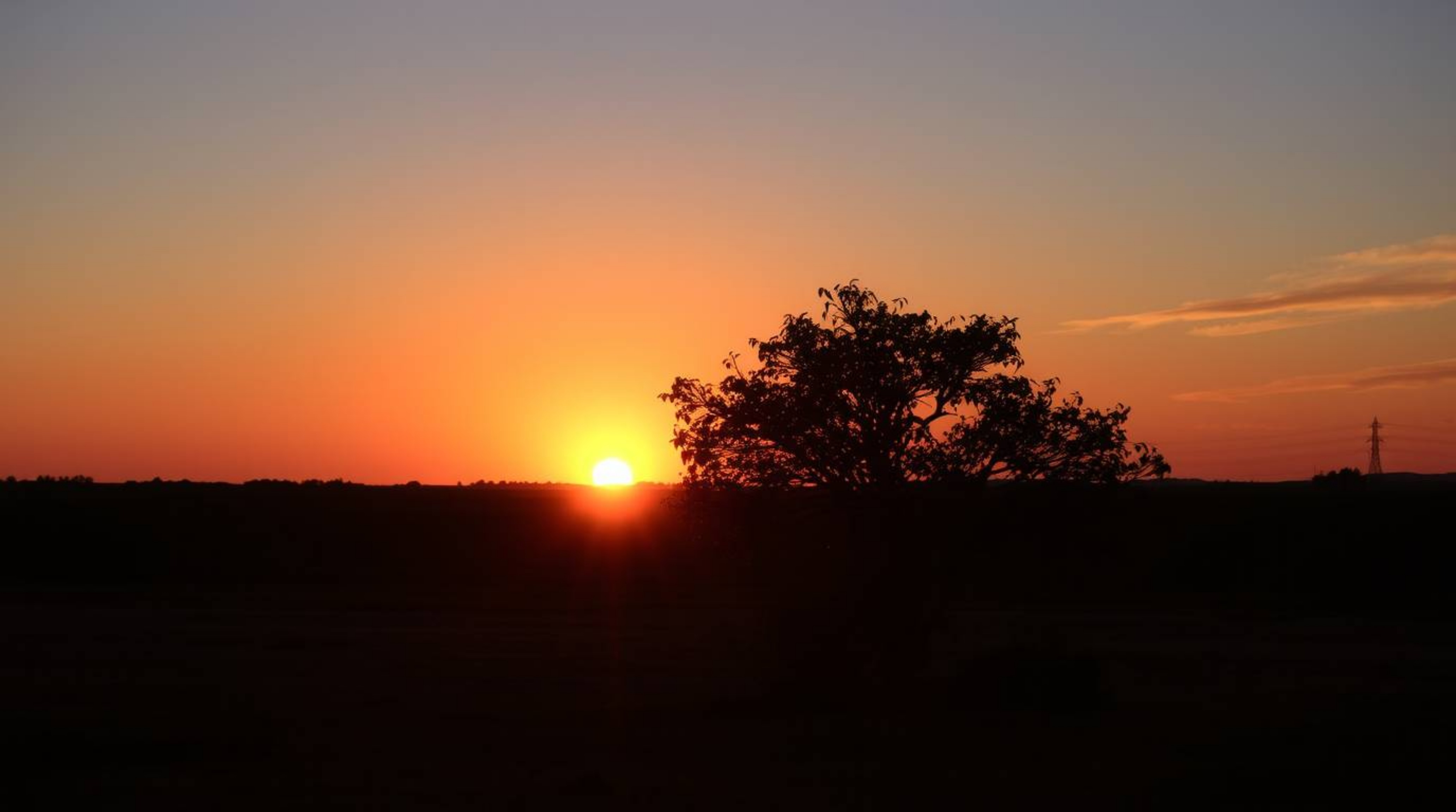 Capture the breathtaking beauty of a lone tree silhouetted against a vibrant fiery sunset. This image evokes a sense of peace