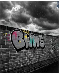 A captivating black and white photograph showcasing vibrant graffiti art splashed across a textured brick wall, set against t